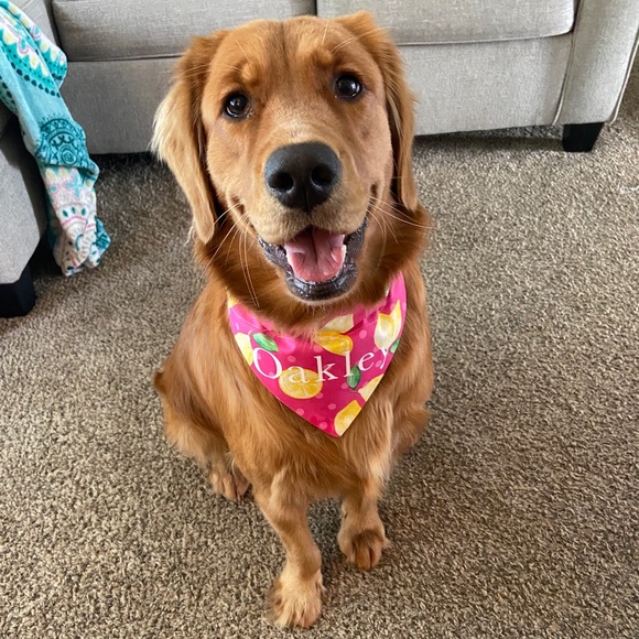 ⭐️NEW⭐️ Personalization!!! - Picture 3 of 4